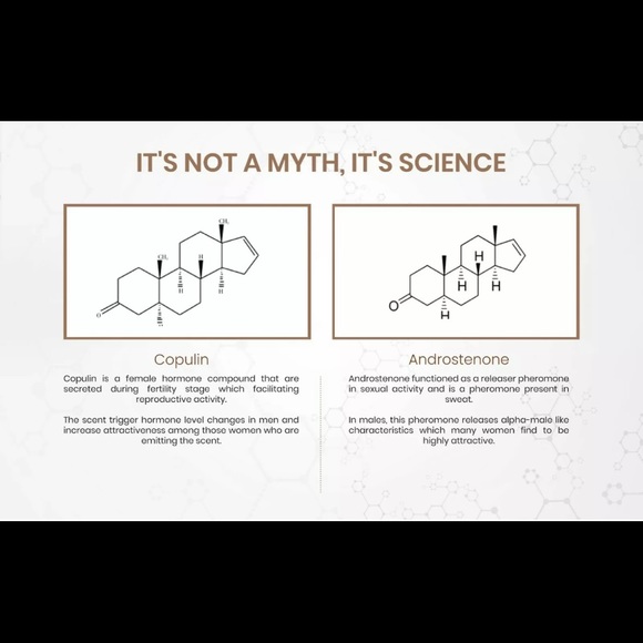 Pure Instinct - Original Infused Essential Oil - Picture 4 of 6